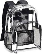 Transparent Backpack
